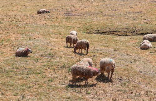 Cunliffe Barn - Foto 31