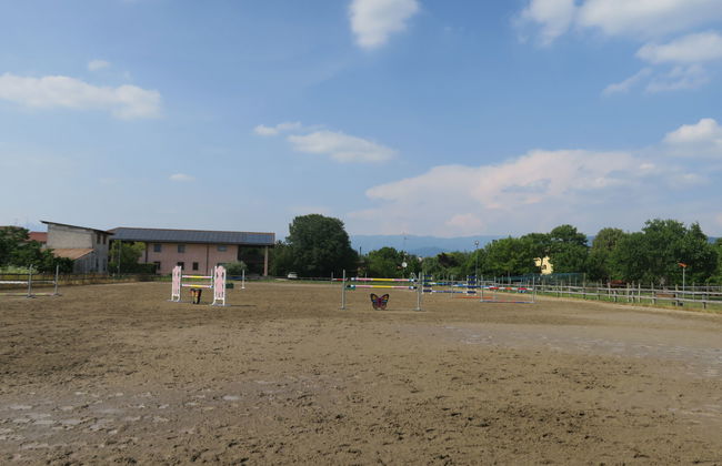 Domus Magna - Foto 36