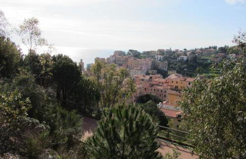 Berenice - Isola D'Elba Apartments - Foto 31