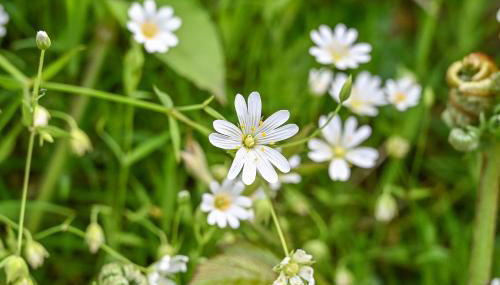 The Bothy - Heale Farm - Foto 5