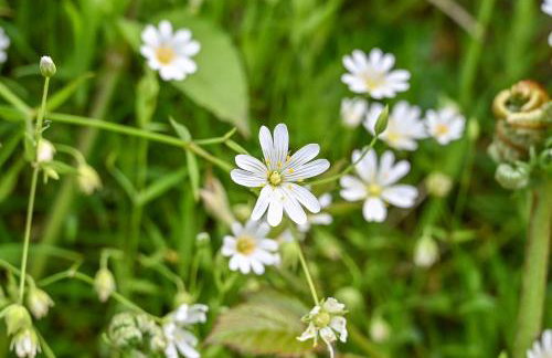 The Bothy - Heale Farm - Foto 5