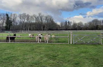 Blashford Manor Farmhouse Holiday Cottage - The Shire Cottage - Foto 10