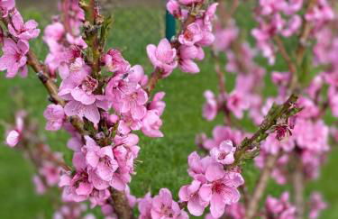 Villa B das zauberhafte Chalet - Foto 56