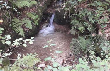 Quinta da Casa Matilde - NATURE HOUSE - Foto 52