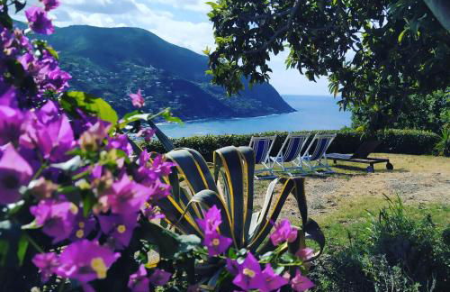 Villa Venino - Foto 41