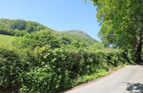 Ty'n y Cae - Foto 59