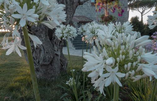 i Cacciagalli Wine Resort - Foto 12