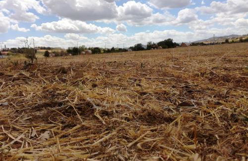 Country Rooms & Suite La Quercia - Foto 34