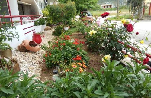 Elenas Apartments - Foto 8