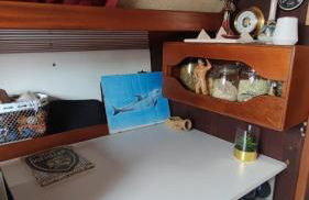 Sailboat land and sea, vegetated - Foto 17