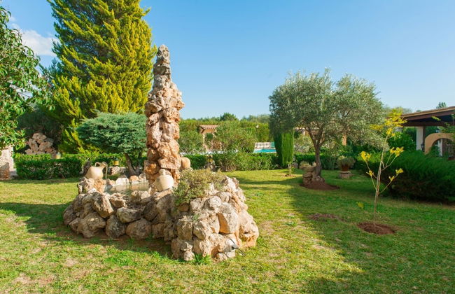 Hibiscus in Sa Pobla - Foto 34