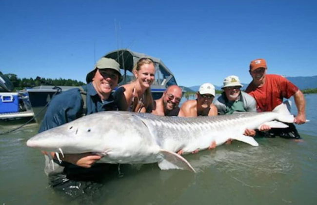 3BR Lakeside Dream Penthouse - Photo 39