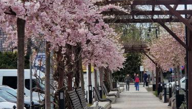 Twoja Przystań SŁAWA- Apartament przy plaży - Foto 3