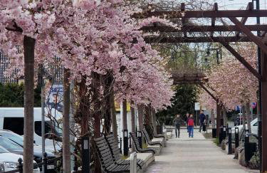 Twoja Przystań SŁAWA- Apartament przy plaży - Foto 3