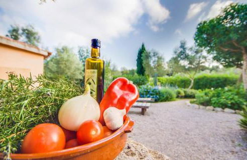 Higo Chumbo - Foto 15