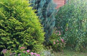 Diament Rogowo - Foto 25