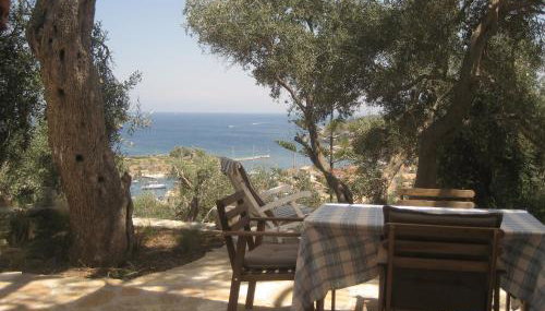 Bougainvillea - Foto 2