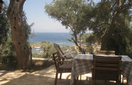 Bougainvillea - Foto 2