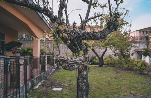Villa Sara on Etna - Foto 29