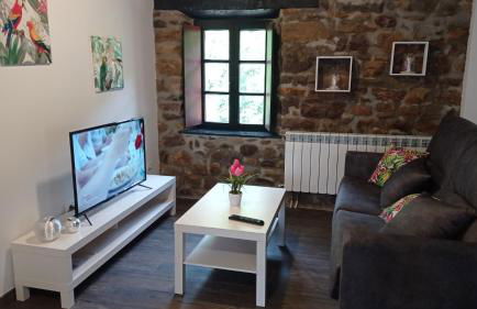 Apartamentos la casa de los ríos - Foto 75