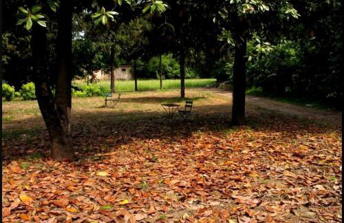 Il Giardino Del Conte Custoza - Foto 12