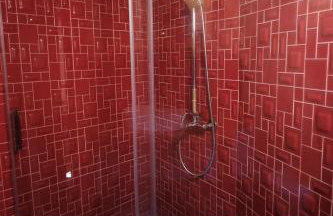 Leśna Kopuła - Foto 27