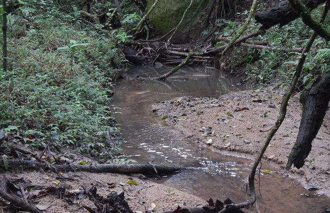 Chalet em Viamão - Foto 30