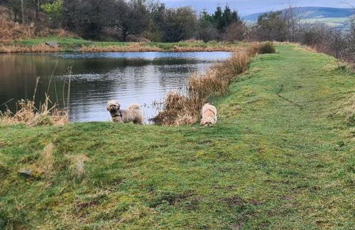 Barn near Colne with Hot Tub - Foto 19