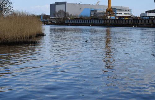 Ferienwohnung Knaack - Foto 29