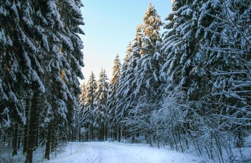 Haus am Oberen Eschenbacher Teich - Foto 36