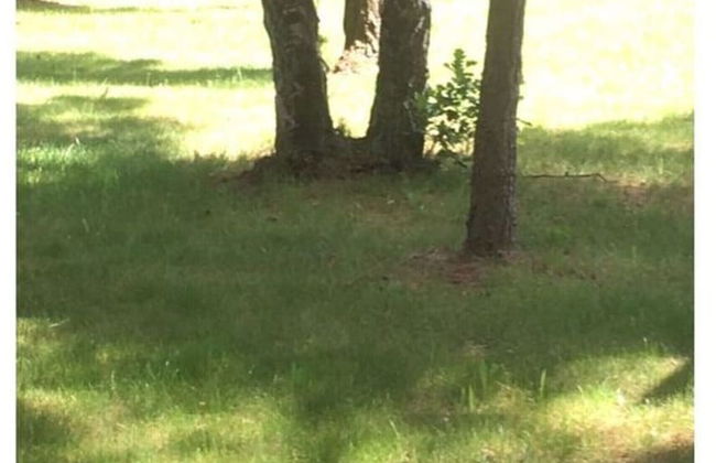 Wave Rider Comfortable Holiday Residence - Foto 11