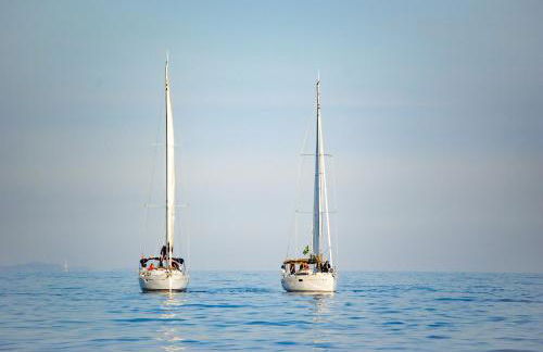 Charming House In An Organic Wine Estate - Foto 32