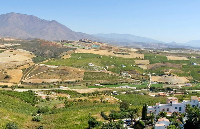 Wine Tour in Manilva - Foto 1