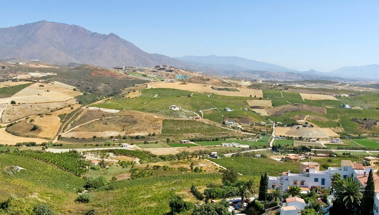 Wine Tour in Manilva - Foto 1