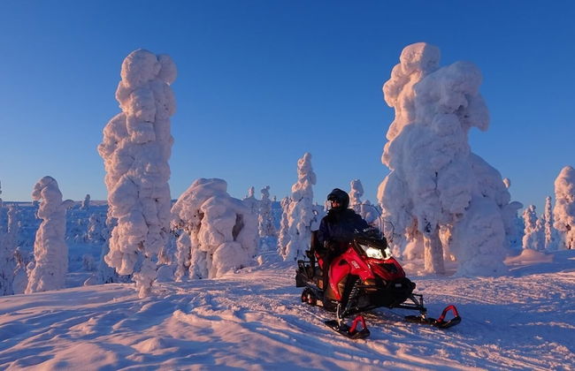 Ounasvaara Lakituvat chalets - Foto 28