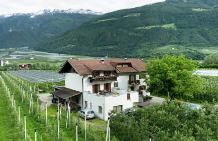 Bauernhof Sackgut - Foto 22