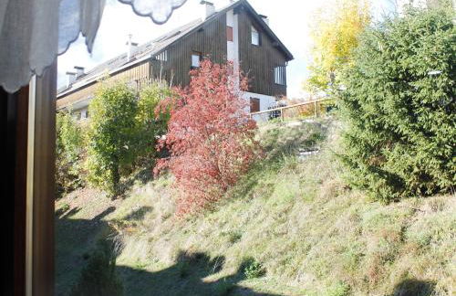 IL CERVO - 2 camere, garage Dolomiti Affitti - Foto 43