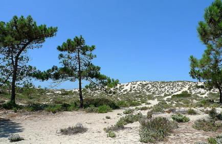 GuestReady - Seaside Serenity in Comporta - Foto 45