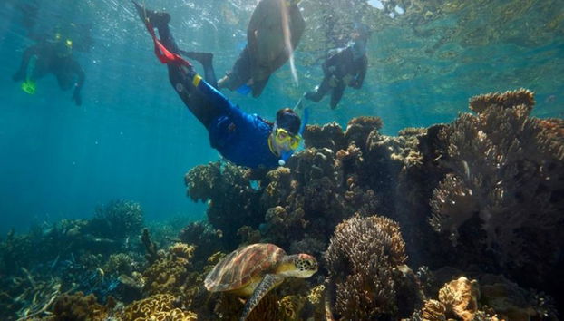 Quicksilver Outer Barrier Reef Cruise de Port Douglas Marina - Foto 5