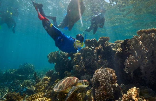 Quicksilver Outer Barrier Reef Cruise de Port Douglas Marina - Foto 5