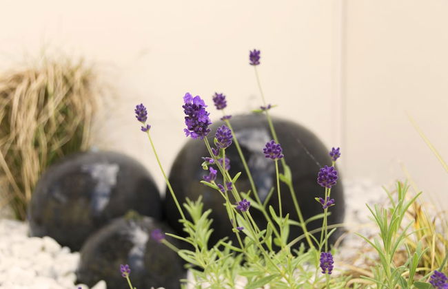 Freie Sicht Das Nordsee-Gesundheitshaus 2 - Foto 34