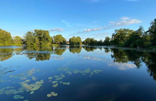 Landhaus Lotten - Foto 25