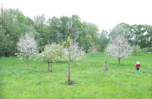 Apfelscheune Cannewitz - Foto 59