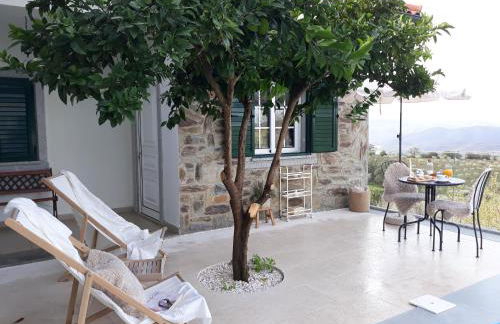 Casinha da Colina - Foto 7