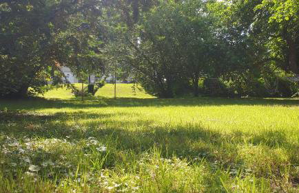 Ferienwohnung Dietel - Foto 26