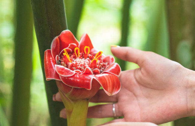 Excursion au Parc écologique de Hagia Sofia - Photo 1