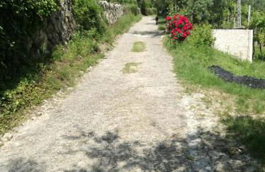 Uno sguardo sulla Valpolicella - Foto 32