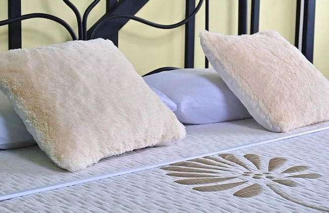 Nalú Hammam Thalassoterapia - Foto 3