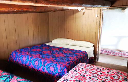 Pinnettu sardo casa di campagna in ecosistema insetti e animaletti simpatici in condivisione,Leggere attentamente Prima di prenotare - Foto 45