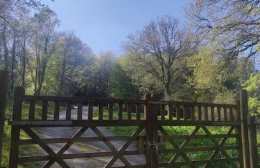 Lodge avec spa au coeur de Brocéliande - Foto 30